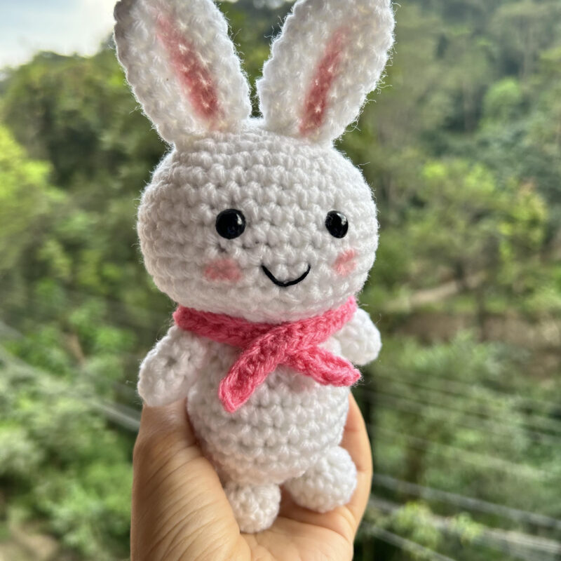 Handmade Crochet Bunny Plush – The Sweetest Hug in Yarn